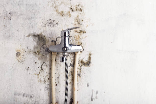 Mold Testing and Removal in Uintah, UT