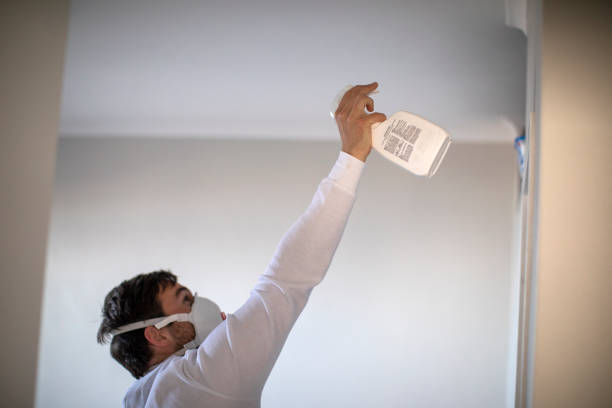 Best Toxic Mold Removal  in Uintah, UT